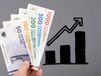 Hvor meget kan jeg låne?