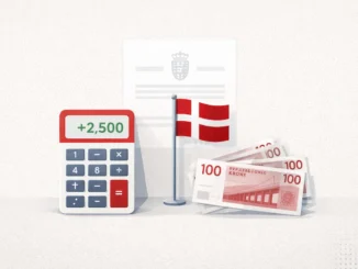 Skat Tilbagebetaling Beregner